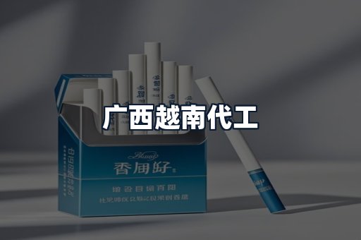 广西越南代工